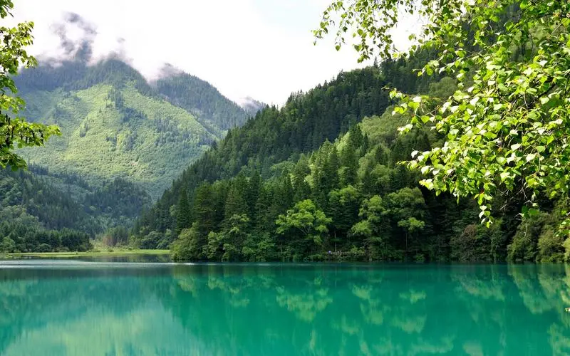 工业独特智慧
